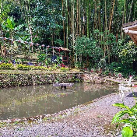 Finca Turistica Los Rosales Pereira Exteriör bild