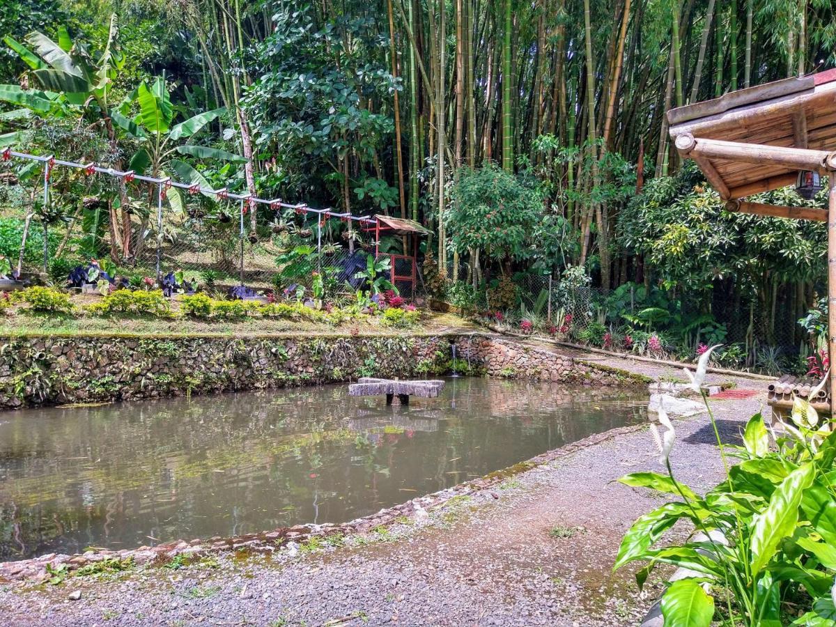 Finca Turistica Los Rosales Pereira Exteriör bild