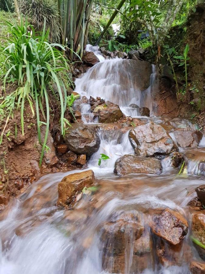 Finca Turistica Los Rosales Pereira Exteriör bild