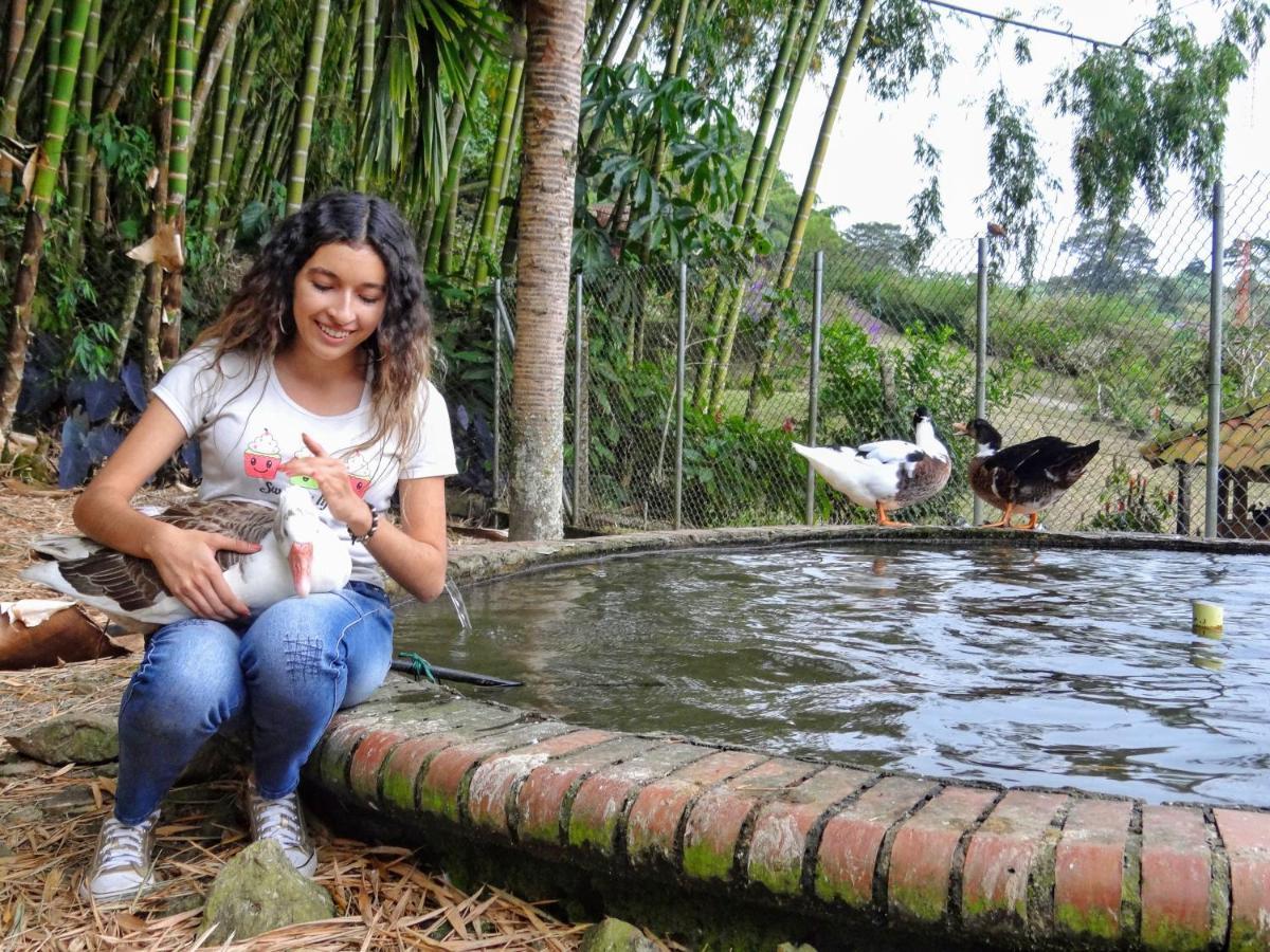 Finca Turistica Los Rosales Pereira Exteriör bild
